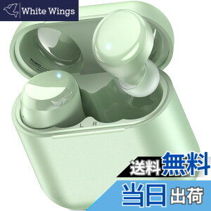 �y���������zTOZO T6 �C���z�� bluetooth ���C�����X�C���z�� ���ቹ�� �g�F�n���� ���^�y�� �}�C�N�t�� �ʘb��ENC �m�C�Y�L�����Z�����O �J�X�^��EQ �A�v���Ή� IPX8�h�� �ő��50���Ԃ̘A���Đ� 