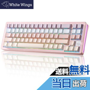 �y���������zYUNZII AL71 68% �Q�[�~���O�L�[�{�[�h �t���A���~CNC �z�b�g�X���b�v�Ή� ���� �K�X�P�b�g ���J�j�J���L�[�{�[�h NKRO 2.4GHz���C�����XBT5.0/USB-C �L�� RGB�o�b�N���C�g Win/Mac�p �����蕨