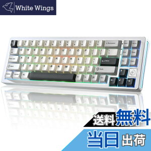 �y���������zYUNZII AL71 ���J�j�J���L�[�{�[�h 68% �R���p�N�g �t���A���~CNC���H �K�X�P�b�g�\�� [Bluetooth/2.4G/USB-C �O���[�h�ڑ�] �z�b�g�X���b�v�Ή� NKRO RGB�o�b�N���C�g Win/Mac���Ή� �Z�K�F��