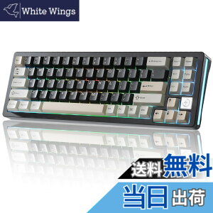 �y���������zYUNZII AL71 68% �Q�[�~���O�L�[�{�[�h �t���A���~CNC �z�b�g�X���b�v�Ή� ���� �K�X�P�b�g ���J�j�J���L�[�{�[�h NKRO 2.4GHz���C�����XBT5.0/USB-C �L�� RGB�o�b�N���C�g Win/Mac�p �����蕨