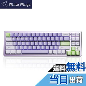 �y���������zYUNZII AL71 68% �Q�[�~���O�L�[�{�[�h �t���A���~CNC �z�b�g�X���b�v�Ή� ���� �K�X�P�b�g ���J�j�J���L�[�{�[�h NKRO 2.4GHz���C�����XBT5.0/USB-C �L�� RGB�o�b�N���C�g Win/Mac�p �����蕨
