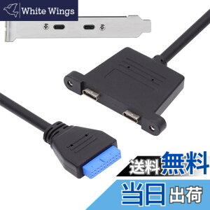 �y���������zNFHK OUSB3.0 �}�U�[�{�[�h 19/20�s�� - USB-C Type-C �f���A���|�[�g ���X PCI-E �o�b�N�p�l�� 5Gbps�P�[�u��