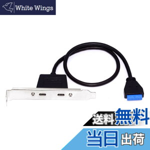 �y���������zxiwai �f���A���|�[�g USB 3.0 USB-C Type-C ���X - 20 �s���w�b�_�[���� 5Gbps �f�[�^�`�� PCI-E �o�b�N�p�l���P�[�u�� �R���s���[�^�[�}�U�[�{�[�h�p 50cm