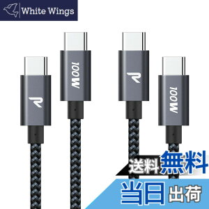 �y���������z�y2�{�Z�b�g 1m+1m�zRAMPOW USB C �P�[�u�� PD3.0�Ή� 100W/5A �������[�d �f�[�^�]�� �f���h�~ ���ϋv�i�C���� iPhone17/Air/16/16e/15 �[�d MacbookPro/iPad Pro&Air/Galaxy/Sony�Ȃ�Type C�@��Ή� ��