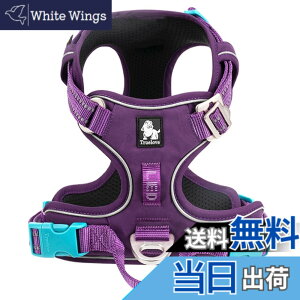 �y���������zcocomall 2023�ŐV ���p�n�[�l�X ���p���� �h�b�O �y�b�g�p�i 3M���ˍޗ� �P�� �i�C������ ���^���A���^���A��^���Ɍ��� �ʋC�� ���߉\ (L, �p�[�v��)