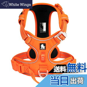 �y���������zcocomall 2023�ŐV ���p�n�[�l�X ���p���� �h�b�O �y�b�g�p�i 3M���ˍޗ� �P�� �i�C������ ���^���A���^���A��^���Ɍ��� �ʋC�� ���߉\ (L, �I�����W)