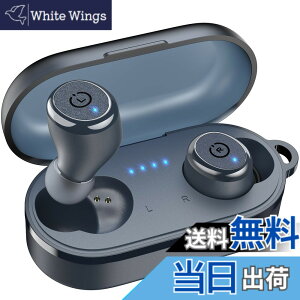 �y���������zTOZO T10 �C���z�� bluetooth ���C�����X�C���z�� ���ቹ�� �g�F�n���� AI �ʘb�� �m�C�Y�L�����Z�����O ���K���� �J�X�^��EQ�u���F�n�ɕϊ��\�v ��p�A�v���Ή� AI�`���b�g/������