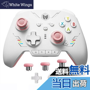 �y���������zPC �R���g���[���[�ABIGBIG WON Rainbow 2 SE ���C�����X �R���g���[���[ ���[�V���� �R���g���[���A�z�[�����ʃg���K�[�A12 �r�b�g ADC�A�W���C�X�e�B�b�N 3 �Z�b�g�A4�����\���L�[�A8