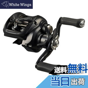 �y���������z�_�C��(DAIWA) �x�C�g���[�� 24TATULA TW 100HL