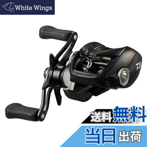 �y���������z�_�C��(DAIWA) �x�C�g���[�� 24TATULA TW 100H