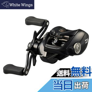 �y���������z�_�C��(DAIWA) �x�C�g���[�� 24TATULA TW 100
