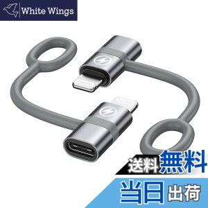 �y���������zRAVIAD Type C to ���C�g�j���O �ϊ��A�_�v�^ (2�Z�b�g) 36W PD�}���[�d PD�`�b�v���� �����f�[�^�]�� USB-C i-Phone �ϊ��R�l�N�^ �A���~�����O�� �V���R���o���h�݌v �^�C�vC����iOS�ϊ�