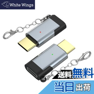 �y���������zARKTEK ���C�g�j���O �^�C�vc �ϊ��A�_�v�^�[ 2�Z�b�g ���C�g�j���O���� usb-c �ϊ� lightning (���X) type-c (�I�X) �ϊ��R�l�N�^ iPhone17 16�V���[�Y Galaxy S23 Note 20 Xperia 1 Pixel 7 Mate 40 OnePl