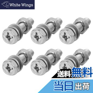 �y���������zMETALLIXITY �Z�p�{���g �Z�p�{���g�i�b�g M6x25mm 6�Z�b�g���� 304�X�e�����X�| �t���{���g�i�b�g�t���b�g���b�V�������b�N���b�V���t�� �Ƌ�C�� �V���o�[�g�[��