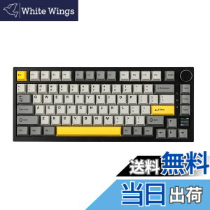 �y���������zEPOMAKER Ajazz AK820 Pro �Q�[�~���O�L�[�{�[�h 75% �K�X�P�b�g���� ���J�j�J���L�[�{�[�h TFT�X�N���[�� 3���[�h(Bluetooth 5.1/2.4G���C�����X&Type-C�L��) �����t�H�[������ (Grey, Ajazz Gift Swit