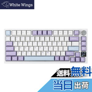 �y���������zEPOMAKER Ajazz AK820 Pro �Q�[�~���O�L�[�{�[�h 75% �K�X�P�b�g���� ���J�j�J���L�[�{�[�h TFT�X�N���[�� 3���[�h(Bluetooth 5.1/2.4G���C�����X&Type-C�L��) �����t�H�[������ (White Purple - OEM Pr