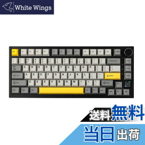 �y���������zEPOMAKER Ajazz AK820 Pro �Q�[�~���O�L�[�{�[�h 75% �K�X�P�b�g���� ���J�j�J���L�[�{�[�h TFT�X�N���[�� 3���[�h(Bluetooth 5.1/2.4G���C�����X&Type-C�L��) �����t�H�[������ (Grey, Ajazz Flying Fi