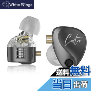 �y���������zKZ Castor �J�i���^ �C���z�� KZ �C���C���[���j�^�[ �C���z�� �f���A���_�C�i�~�b�N�h���C�o�[ �~���[�W�V���� �C���C���[�C���z�� 2dd �`���[�j���O�X�C�b�` �ᔽ���C���[�`�b�v