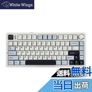 �y���������zEPOMAKER x Aula F75 �Q�[�~���O�L�[�{�[�h �K�X�P�b�g ���J�j�J���L�[�{�[�h 5�w�p�b�h���m�u�t�� 75% ���C�����X �z�b�g�X���b�p�u�� Bluetooth/2.4GHz/USB-C RGB �Z�K�F�؎擾 (Light Blue, LEOB