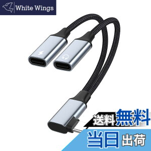 �y���������z�y2in1�zType-C L�^�C���^�t�F�[�X-C�^�C���z���ϊ��P�[�u��Type-C�C���z���W���b�NUSB C PD�}���[�d�A�_�v�^�[�����ʘb/���ʒ���/���y�C���z����ҍ��ϋv�i�C�����҂ݐڑ��P�[�u��