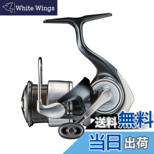 �y���������z�_�C��(DAIWA) �X�s�j���O���[�� 24�Z���e-�g FC LT2000S-H (2024�N���f��)