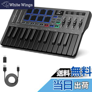 �y���������zDonner USB MIDI �L�[�{�[�h �R���g���[���[ 25�� �x���V�e�B�Ή� �^�b�`���X���C�_�[ OLED�X�N���[�� �o�b�N���C�g�t�p�b�h ���y���� Mac�EPC�Ή� ���{������� �u���b�N DMK-25 PRO