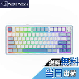 �y���������zEPOMAKER x Aula F75 �Q�[�~���O�L�[�{�[�h �K�X�P�b�g ���J�j�J���L�[�{�[�h 5�w�p�b�h���m�u�t�� 75% ���C�����X �z�b�g�X���b�p�u�� Bluetooth/2.4GHz/USB-C RGB �Z�K�F�؎擾 (Sea Salt Blue, L