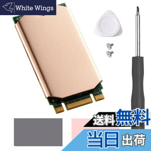 �y���������zHaojiaho M.2 2242 NVME SSD�p �q�[�g�V���N ���� �M�p�b�h�t�� Nvme2242 �\���b�h �X�e�[�g �h���C�u ���W�G�[�^�[ �C���L�b�g