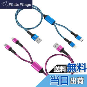 �y���������z2in1 �[�d�P�[�u�� ���C�g�j���O&�^�C�vC �u2�{�g/1.2M�v 2.4A&3A�}���[�d Type-C USB�P�[�u�� Haoano 2�C��1 �[�d�R�[�h �}���`�P�[�u�� 2�䓯�����d�\ iPhone 17/16/15/14/13/12/SE/iPad Air/Mini/Gal