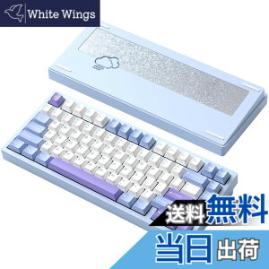 �y���������z�yWOBKEY Rainy 75�L�[�{�[�h�z�J���̂悤�ȑŌ��� ���J�j�J���L�[�{�[�h 3WAY�ڑ� OS�݊��� �z�b�g�X���b�v��VIA�̑Ή� �J�X�^�}�C�Y�� �K�X�P�b�g�f�U�C�� �A���~�j�E���f�ގg�p RG