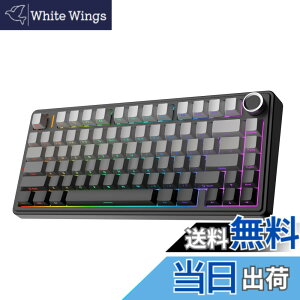 �y���������zEPOMAKER x Aula F75 �Q�[�~���O�L�[�{�[�h �K�X�P�b�g ���J�j�J���L�[�{�[�h 5�w�p�b�h���m�u�t�� 75% ���C�����X �z�b�g�X���b�p�u�� Bluetooth/2.4GHz/USB-C RGB �Z�K�F�؎擾 (Black Gradient, 