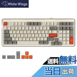 �y���������zDAREU EK98PRO ���J�j�J���L�[�{�[�h ���� �e���L�[�t�� �Q�[�~���O�L�[�{�[�h 2.4G���C�����X/Bluetooth/�L��USB�ڑ��\ 96%�p��z�� �K�X�P�b�g�}�E���g RGB �z�b�g�X���b�v�Ή� DREAM HI