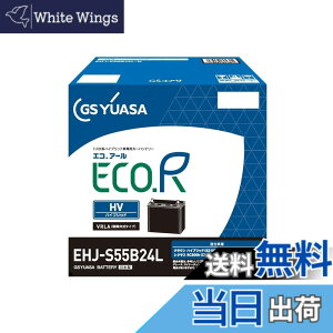�y���������zGS���A�T (�W�[�G�X���A�T) EHJ S55B24L ECO.R HV �g���^�n�n�C�u���b�g��p�Ԑ�p ��@�p�o�b�e���[ GS YUASA 2024�N���f��