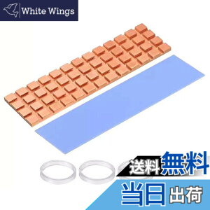 �y���������zDFsucces M.2 SSD �q�[�g�V���N �� 1.5mm ���^ �����M���\ 2280 M2 SSD PS5 �M�`���V�[�g ��p���W�G�[�^�[�t�B�� �Œ�p�V���R���S���Z�b�g