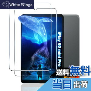 �y���������z�y2���Z�b�g�z �Ή� iPlay 60 mini Pro �t�B���� �y���Y���Ɏq�f�ށz �p iPlay60 mini Pro �K���X�t�B���� �����K���X �p iPlay60miniPro �^�u���b�g 8.4�C���` �p �ی�t�B���� �P�[�X �J�o�[ 