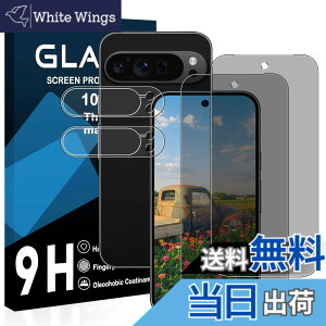 �y���������z�y2���`�����h�~�t�B+2�������Y�ی� �z�Ή� Google Pixel 9 pro �K���X�t�B���� �����猩���Ȃ� �O�[�O���s�N�Z��9 pro �t�B���� �`�����h�~�y ���{���Ɏq�� �����K���X �t�� �ی�t�B