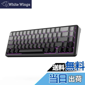 �y���������zEPOMAKER x AULA F65 65%���C�����X���J�j�J���L�[�{�[�h �z�b�g�X���b�v�Ή��K�X�P�b�g�J�X�^���Q�[�~���O�L�[�{�[�h 5�w�p�b�h RGB�o�b�N���C�g Bluetooth/2.4GHz/USB-C �����ς݃��j�A�X