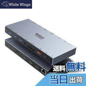 �y���������zSelore USB C �h�b�L���O�X�e�[�V���� type c HDMI 2�� Dock�y15 in 1�z DP DP1.4 4K 2��� 3��ʃ��[�h �f���A�� �g���v���f�B�X�v���C 100W �}���[�d �L��LAN RJ45/3.5mm �I�[�f�B�I�W���b�N/USB-A 3.