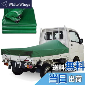 �y���������zKUKUAN �ב�V�[�g �h���V�[�g �ב�J�o�[ �G�X�e�����z �h���d�� 580g/���� PVC���z ���Ă��h�~ �y�g���b�N�p (�O���[��, 1.9mx2.1m)