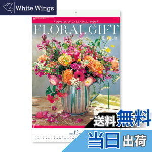 �y���������z�V���{�J�����_�[ �� �F�FNK408