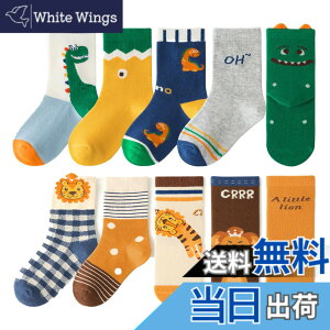 �y���������z[HAYAHARU] ���� �L�b�Y �C�� 10���Z�b�g �I�V���� �_�炩���� �N���[�� �x�r�[ �\�b�N�X �L�b�Y �C�� �J���t�� �j�̎q ���̎q �q���p �X�j�[�J�[�\�b�N�X �t�ďH�~ �ʊw�ʉ� �F�F