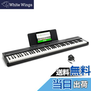 �y���������zAlesis �d�q�s�A�m 88���� Recital Play & Recital Black �F�F�P�i�A�u���b�N�A�T�C�Y�F�P�i