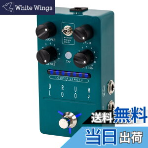 �y���������zFLAMMA Guitar Pedals Reverb Delay Modulation Preamp Cabinet Simulation Digital Stereo Electric Guitar Pedal �F�FFS01 Drum Loop