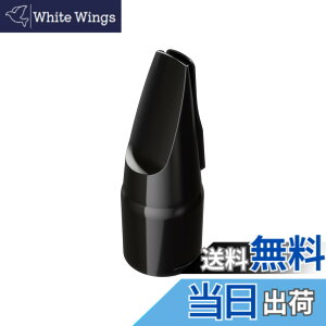�y���������zRoland ���[�����h Aerophone��p�}�E�X�s�[�X �G�A���t�H�� OP-AE05MPH