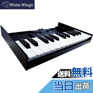 �y���������z���[�����h Keyboard Unit K-25M Roland Roland Boutique�V���[�Y��p �L�[�{�[�h �F�F�u���b�N