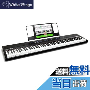 �y���������zAlesis �d�q�s�A�m 88���� Recital Play & Recital Black �F�F�P�i�A�u���b�N�A�T�C�Y�F�P�i