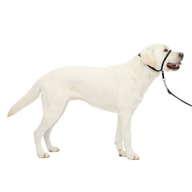 【送料無料】PetSafe（ペットセーフ） ジェントルリーダー 引っ張り防止 ヘッドカラー 犬用 散歩トレーニング 色：ブラック、サイズ：L