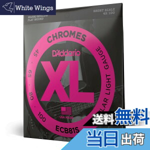 �y���������zD'Addario �_�_���I �G���L�x�[�X�� �t���b�g���E���h (���K�A���i) �F�F4���A�T�C�Y�F.045-.100 (Short)