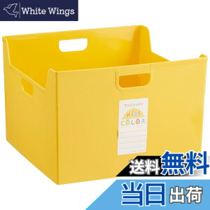 �y���������z�Z���s�[�L�b�Y�J���[�V���[�Y �t�@�C���{�b�N�X A4 �t�{-TC4K �F�F�C�G���[�A�T�C�Y�FA4�_�u��