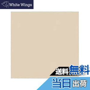 �y���������z�J�o�[�v���[�g(��t�g�t) WALL_PLATE �F�F�x�[�W���A�T�C�Y�F2�A�p